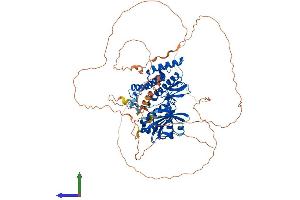 Protein Structure (PS) image for Germ Cell Associated 2 (Haspin) (GSG2) (AA 1-754) protein (His tag) (ABIN7565259)