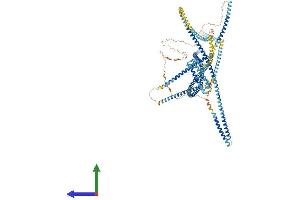 Protein Structure (PS) image for ELKS/RAB6-Interacting/CAST Family Member 1 (ERC1) (AA 1-1120) protein (His tag) (ABIN7564899)