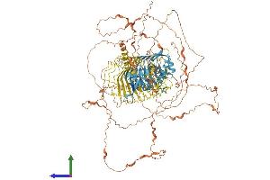 AlphaFold protein structure predicition of Human Recombinant MAGEC1 Protein, UniprotID O60732 (MAGEC1 Protein (AA 1-1142) (His tag))