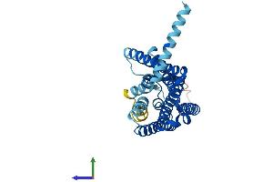 Protein Structure (PS) image for Olfactory Receptor, Family 7, Subfamily C, Member 2 (OR7C2) (AA 1-319) protein (His tag) (ABIN7550316)