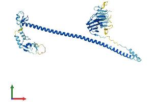 Protein Structure (PS) image for TRIM17 / RNF16 (TRIM17) (AA 1-477) protein (His tag) (ABIN7558246)