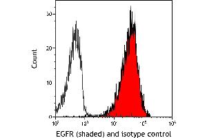 Flow Cytometry (FACS) image for anti-Epidermal Growth Factor Receptor (EGFR) (C-Term) antibody (ABIN7795642)