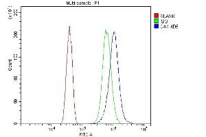 Flow Cytometry analysis of SiHa cells using anti-Carbonic Anhydrase I/CA1 antibody (ABIN7602621).