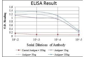 Red: Control Antigen (100 ng), Purple: Antigen (10 ng), Green: Antigen (50 ng), Blue: Antigen (100 ng), (CDK1 抗体)