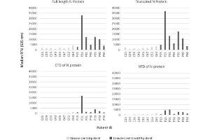 IgG responses to SARS-CoV-2 N protein variants. (小鸡 anti-人 IgG (Heavy & Light Chain) Antibody (Biotin))