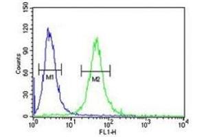 GATA2 antibody flow cytometric analysis of 293 cells (green) compared to a negative control (blue). (GATA2 抗体  (AA 262-288))