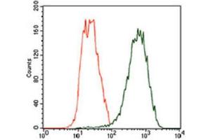 Flow Cytometry (FACS) image for anti-Tubulin, beta 2A (TUBB2A) (AA 25-187) antibody (ABIN1846607) (TUBB2A 抗体  (AA 25-187))