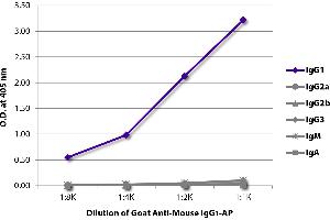 ELISA plate was coated with purified mouse IgG1, IgG2a, IgG2b, IgG3, IgM, and IgA. (山羊 anti-小鼠 IgG1 Antibody (Alkaline Phosphatase (AP)))