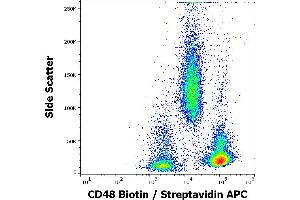 Flow cytometry surface staining pattern of human peripheral whole blood stained using anti-human CD48 (MEM-102) Biotin antibody (GAM APC, concentration in sample 1,7 μg/mL). (CD48 抗体  (Biotin))
