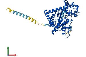 Protein Structure (PS) image for Galactose-3-O-Sulfotransferase 2 (GAL3ST2) (AA 1-394) protein (His tag) (ABIN7558132)