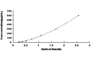 Typical Standard Curve
