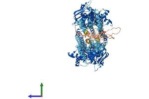 AlphaFold protein structure predicition of Human Recombinant ABCB11 Protein, UniprotID O95342 (ABCB11 Protein (AA 1-1321) (His tag))