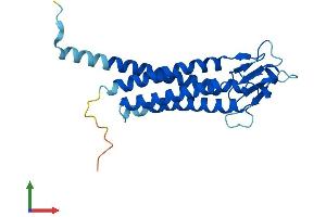 AlphaFold protein structure predicition of Mouse Recombinant Lhfpl5 Protein, UniprotID Q4KL25