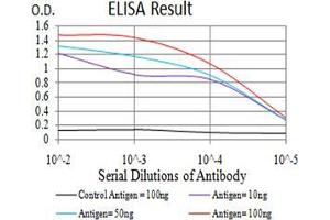 Black line: Control Antigen (100 ng);Purple line: Antigen (10ng); Blue line: Antigen (50 ng); Red line:Antigen (100 ng) (VP2 (AA 296-438) 抗体)