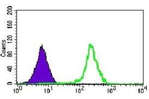 Flow cytometric analysis of HeLa cells using KIAA1967 mouse mAb (green) and negative control (purple). (CCAR2 抗体)