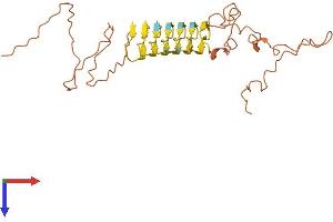 Keratin Associated Protein 5-4 (KRTAP5-4) (AA 1-288) protein (His tag)