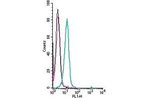 Cell surface detection of Plexin-A4 by indirect flow cytometry in live intact human  monocytic leukemia cell line: + goat-anti-rabbit-FITC. (Plexin A4 抗体  (Extracellular))
