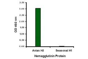 ELISA image for anti-Hemagglutinin antibody (Influenza A Virus H5N1) (ABIN1031719) (Hemagglutinin 抗体)