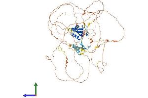 Protein Structure (PS) image for Forkhead Box M1 (FOXM1) (AA 1-763) protein (His tag) (ABIN7553926)