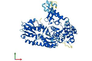 Protein Structure (PS) image for Syntaxin Binding Protein 2 (STXBP2) (AA 1-593) protein (His tag) (ABIN7544049)