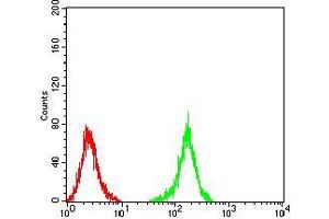 Flow Cytometry (FACS) image for anti-Neurofilament Triplet M Protein (NEFM) (AA 779-916) antibody (ABIN5542346)
