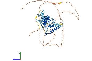 Protein Structure (PS) image for Zinc Finger, HIT-Type Containing 6 (ZNHIT6) (AA 1-460) protein (His tag) (ABIN7557175)