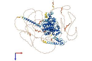 AlphaFold protein structure predicition of Mouse Recombinant Mtmr4 Protein, UniprotID Q91XS1