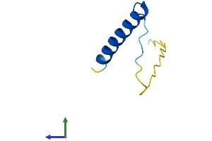 Protein Structure (PS) image for Purkinje Cell Protein 4 (PCP4) (AA 1-62) protein (Fc Tag) (ABIN7556641)