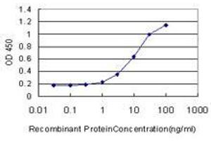 Detection limit for recombinant GST tagged ZBTB16 is approximately 1ng/ml as a capture antibody. (ZBTB16 抗体  (AA 381-480))