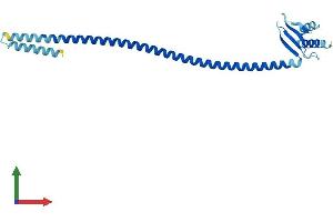 Protein Structure (PS) image for SPC25, NDC80 Kinetochore Complex Component, Homolog (SPC25) (AA 1-224) protein (His tag) (ABIN7546303)