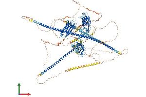 Protein Structure (PS) image for Retinitis Pigmentosa GTPase Regulator Interacting Protein 1 (RPGRIP1) (AA 1-1331) protein (His tag) (ABIN7565026)