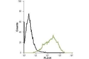 Flow Cytometry (FACS) image for anti-Prokineticin Receptor 1 (PROKR1) (AA 10-24), (Extracellular) antibody (ABIN7043560)