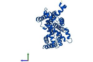 Protein Structure (PS) image for Mitochondrially Encoded Cytochrome B (MT-CYB) (AA 1-381) protein (His tag) (ABIN7562717)