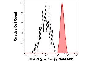 Separation of HLA-G transfected HEK-293 cells (red-filled) from HLA-G negative debris (black-dashed) in flow cytometry analysis (intracellular staining) of HLA-G transfected HEK-293 cells using anti-human HLA-G (2A12) purified antibody (concentration in sample 4 μg/mL) GAM APC. (HLAG 抗体  (C-Term))