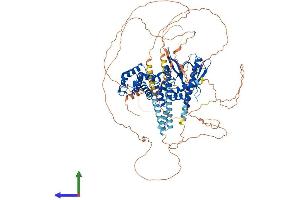 Protein Structure (PS) image for IQ Motif and Sec7 Domain 1 (IQSEC1) (AA 1-963) protein (His tag) (ABIN7554201)