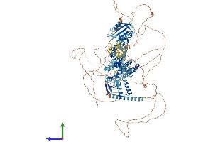 Protein Structure (PS) image for Potassium Voltage-Gated Channel, Subfamily H (Eag-Related), Member 7 (KCNH7) (AA 1-1195) protein (His tag) (ABIN7565043)