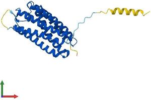 AlphaFold protein structure predicition of Human Recombinant TMEM150C Protein, UniprotID B9EJG8