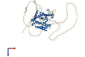 EYA3 Protein (AA 1-510) (His tag)