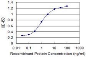 Detection limit for recombinant GST tagged SPA17 is 0. (SPA17 抗体  (AA 51-149))
