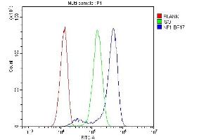 Flow Cytometry analysis of Hela cells using anti-NF1 antibody (ABIN7600195).