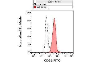Surface staining of human peripheral blood with anti-human CD56 (LT56) FITC. (CD56 抗体  (FITC))