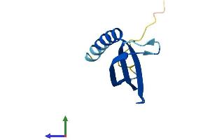 Protein Structure (PS) image for COMM Domain Containing 6 (COMMD6) (AA 1-85) protein (Fc Tag) (ABIN7546628)