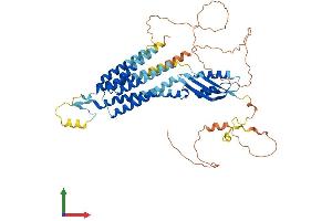 Protein Structure (PS) image for Solute Carrier Family 30 (Zinc Transporter), Member 1 (SLC30A1) (AA 1-507) protein (His tag) (ABIN7545839)