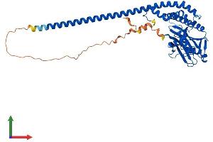 Protein Structure (PS) image for STAM Binding Protein-Like 1 (STAMBPL1) (AA 1-436) protein (His tag) (ABIN7558168)