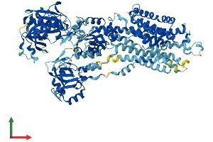 Protein Structure (PS) image for ATPase, Ca++ Transporting, Cardiac Muscle, Fast Twitch 1 (ATP2A1) (AA 1-994) protein (His tag) (ABIN7564706)