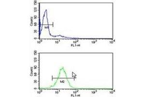 Image no. 6 for anti-TATA Box Binding Protein (TBP) (AA 210-239) antibody (ABIN3029099)
