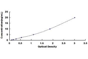 Typical standard curve (RGS5 ELISA 试剂盒)