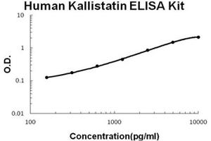 Human Kallistatin/Serpina4 PicoKine ELISA Kit standard curve (SERPINA4 ELISA 试剂盒)