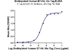 ELISA image for V-Set Domain Containing T Cell Activation Inhibitor 1 (VTCN1) (AA 29-258) protein (His-Avi Tag,Biotin) (ABIN7273953)