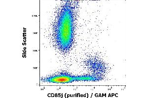 Flow cytometry surface staining pattern of human peripheral blood stained using anti-human CD85j(GHI/75) purified antibody (concentration in sample 1 μg/mL) GAM APC. (LILRB1 抗体)